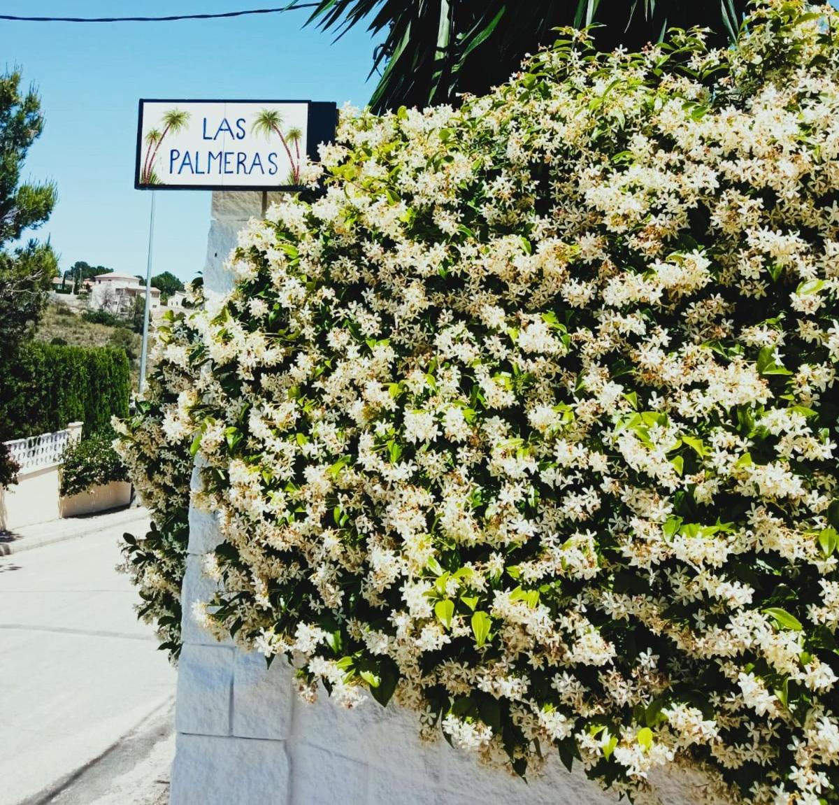 Las Palmeras Alberic Exterior photo